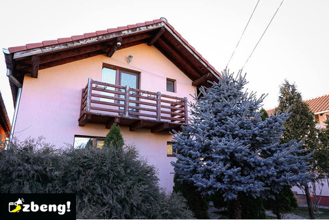 2 case individuale curte comună 601 mp Giroc